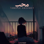 دانلود آهنگ محب تندیس اندامت